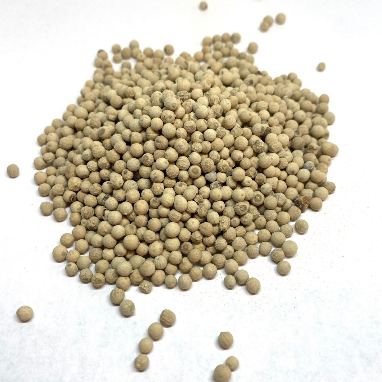 Whole White Pepper, All-Natural, Imported from Jordan