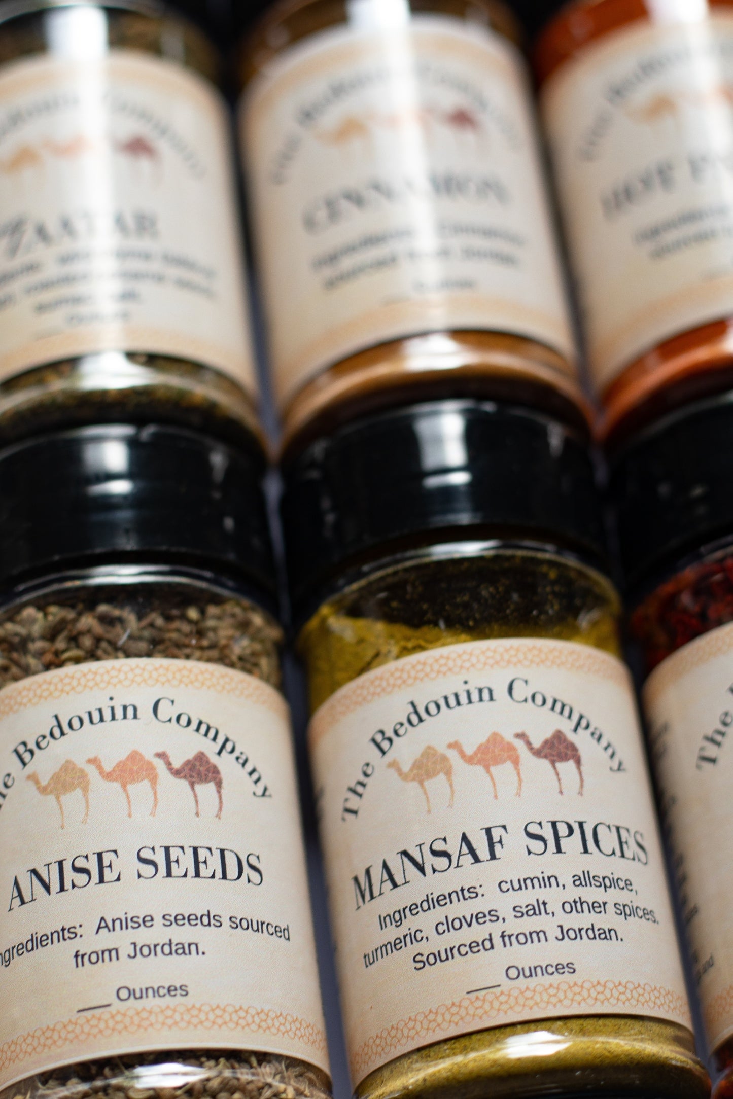 Spice of LIfe Spice Collection! 25 Spices, Seasonings, Herbs. Great Housewarming Gift and Intro to Middle Eastern Cooking