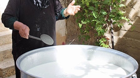 Authentic Al-Karak Jameed Made from Jordanian Sheep's Milk. Includes 1/2 Ounce Mansaf Spices